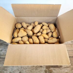 Carton. Vente Pommes de terre Charlotte Drôme direct producteur
