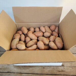 Carton de pommes de terre Rosabelle en 12,5 kg