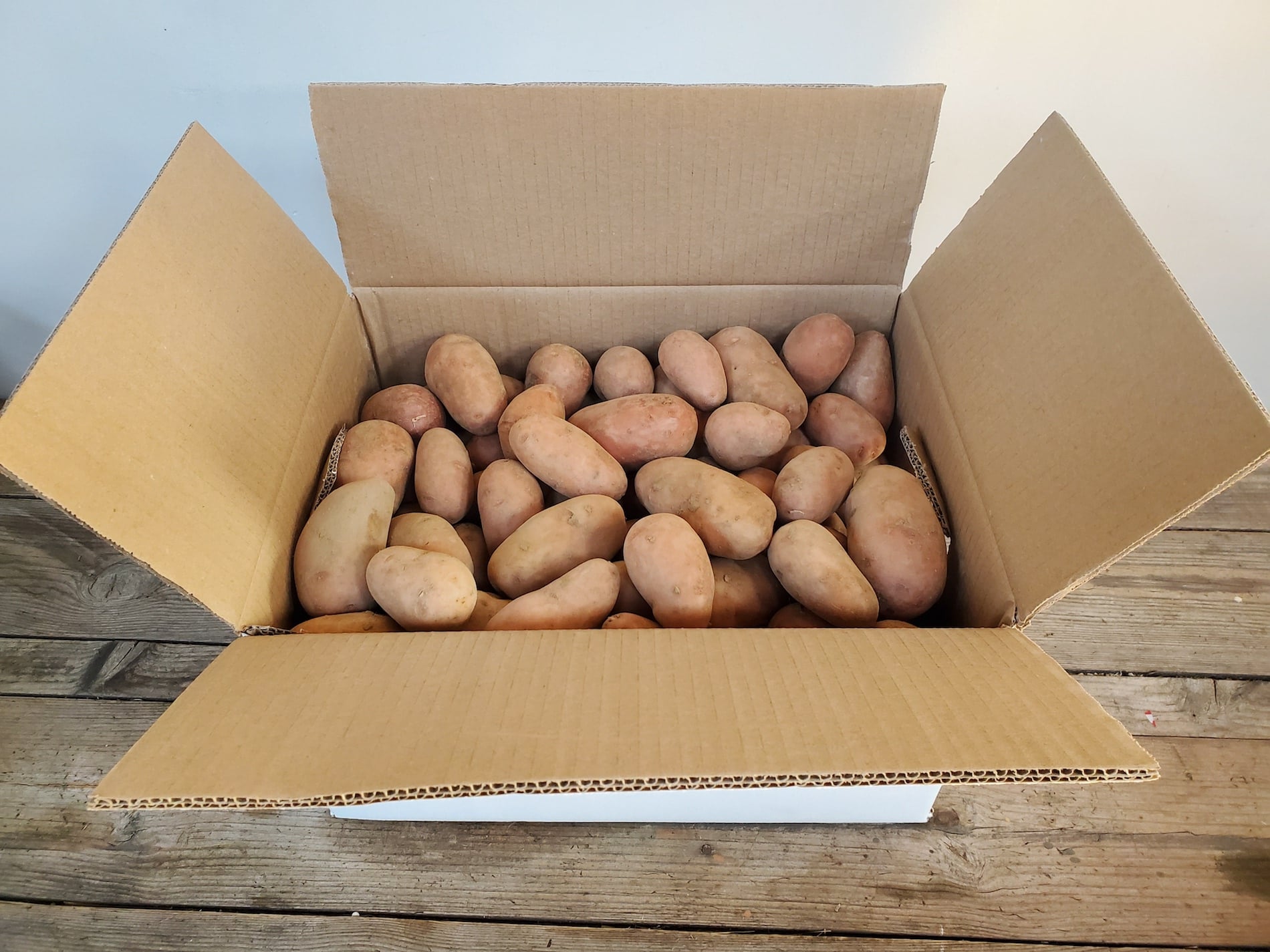 Carton de pommes de terre Rosabelle en 12,5 kg