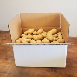 Pomme de terre Bintje - Carton 12,5 Kg