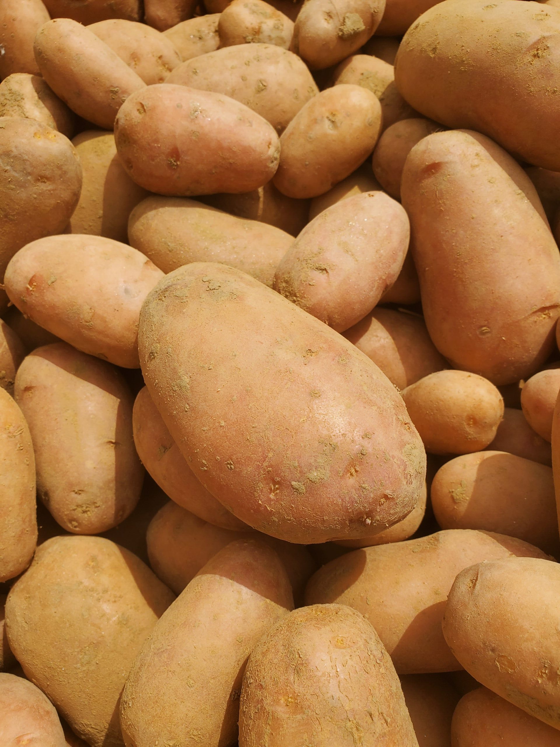 Pommes de terre Rosabelle dans la Drôme en vrac