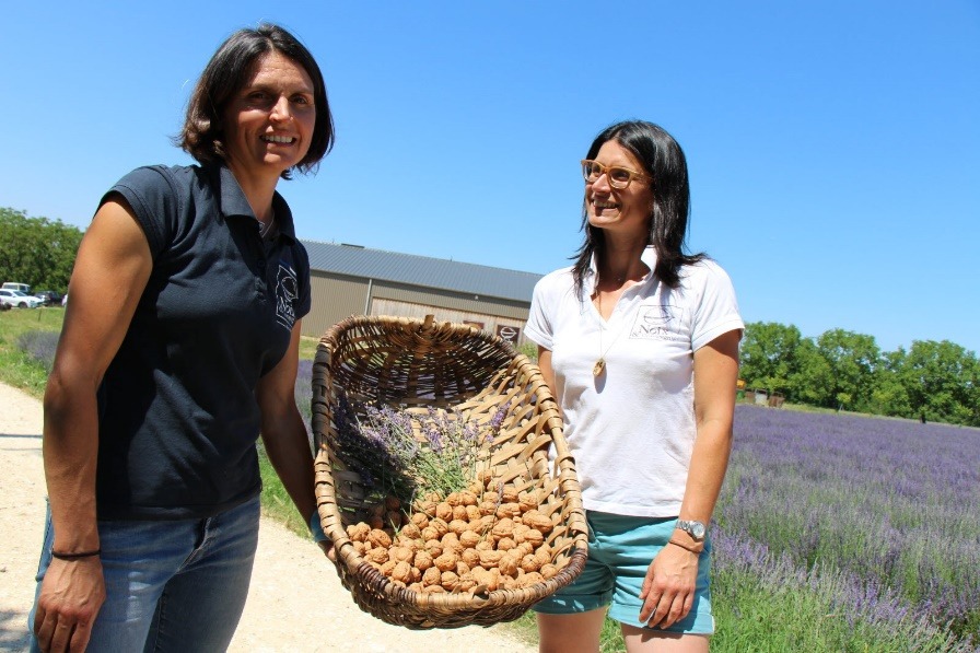 Des noix et de la lavande de la Drôme