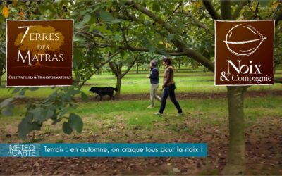 [Vidéo France3] Terroir : on craque tous pour la noix !