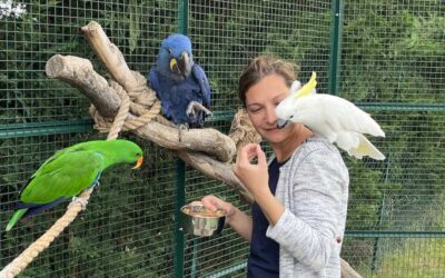 Les noix : un aliment précieux pour de nombreux animaux