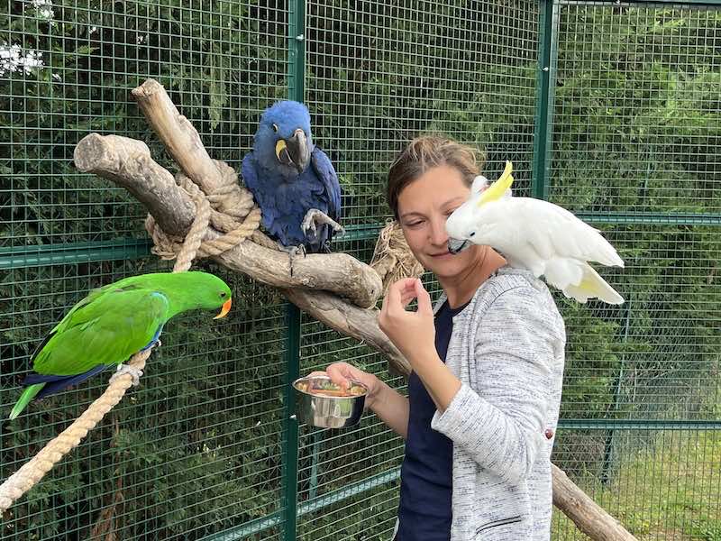 Les noix : un aliment précieux pour de nombreux animaux
